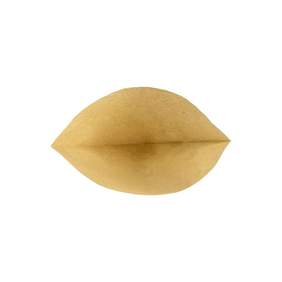 30 x Paper Dust Bags for Pacvac Superpro 700 Series