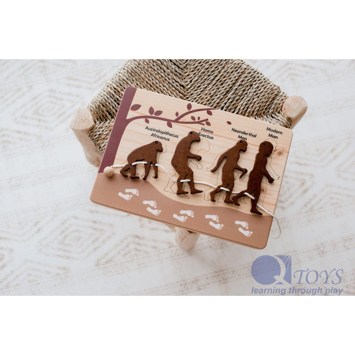 Human evolution puzzle and lacing set