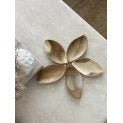 Leaf tray set of 5