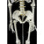 Human Skeleton Anatomical Model 180cm