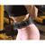 Weight Lifting Belt Pro Training Small