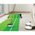 Indoor Practice Putting Green 2.5m Mat Inclined Ball Return Fake Grass 2 Holes