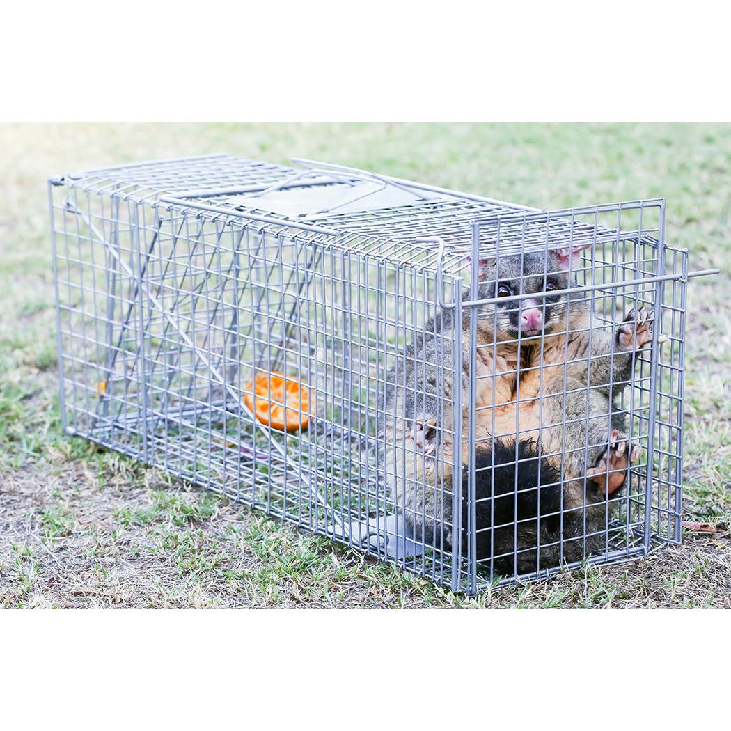 Trap Humane Possum Cage Live Animal Safe Catch Rabbit Cat Hare Fox Bird