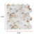 Tiles 3D Peel and Stick Wall Tile Shell Mosaic (30cm x 30cm x 10 sheets)