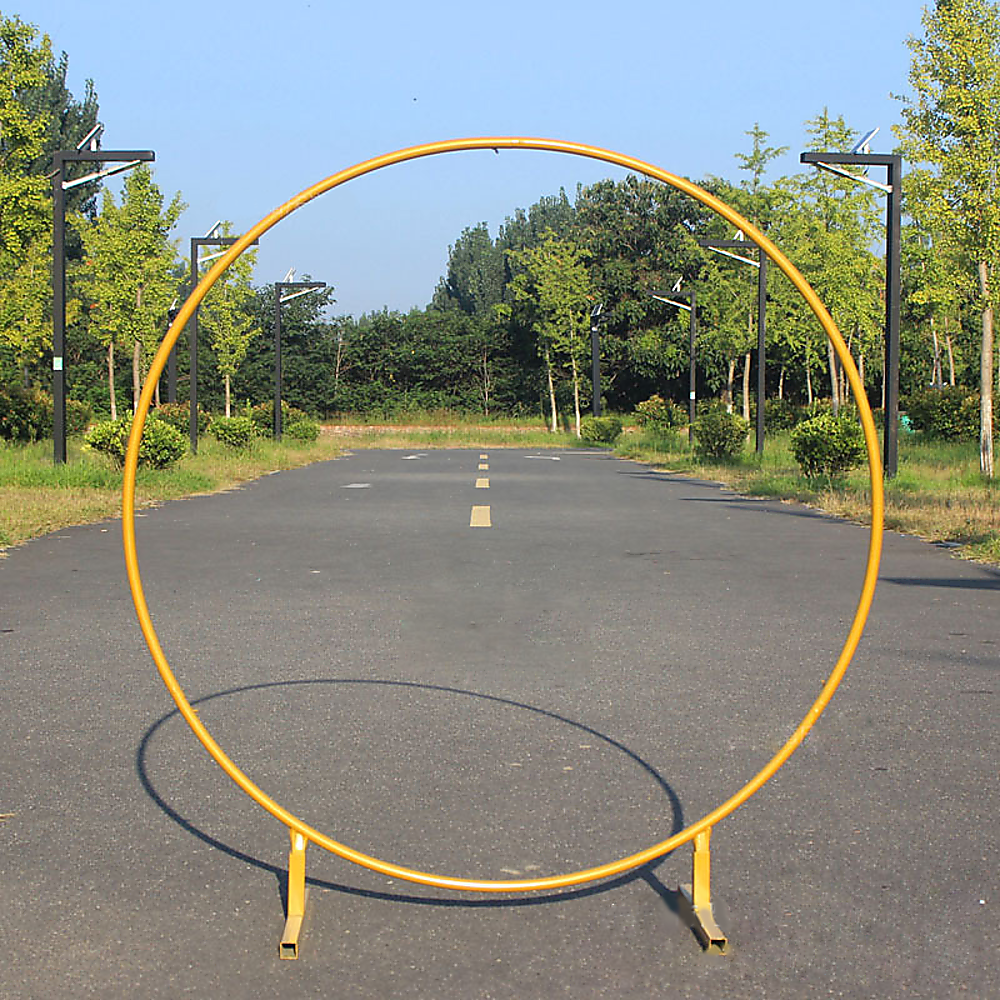 3M Gold Wedding Hoop Round Circle Arch Backdrop Flower Display Stand Frame Background