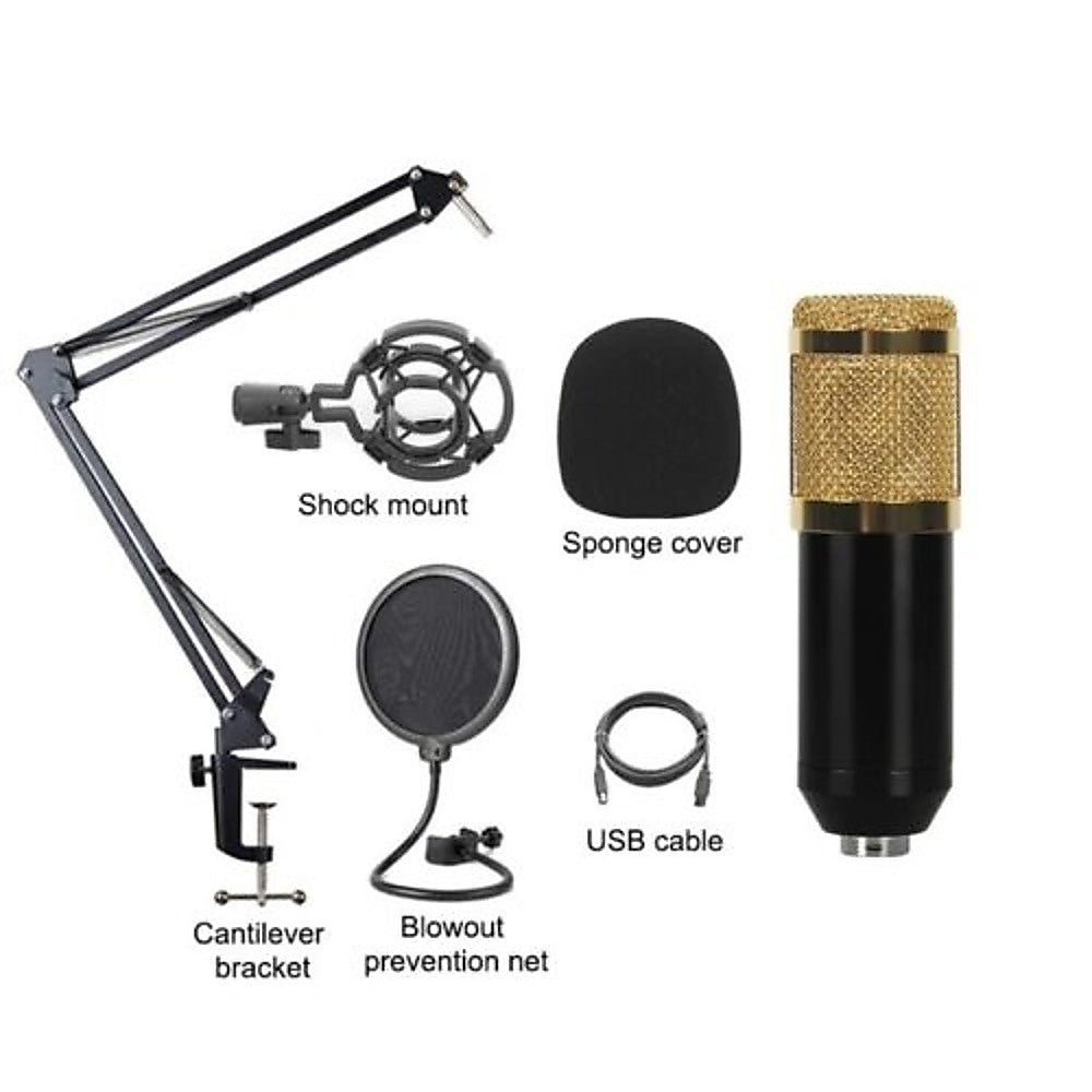 Professional Condenser Microphone USB Voice & Music Cantilever Bracket Set