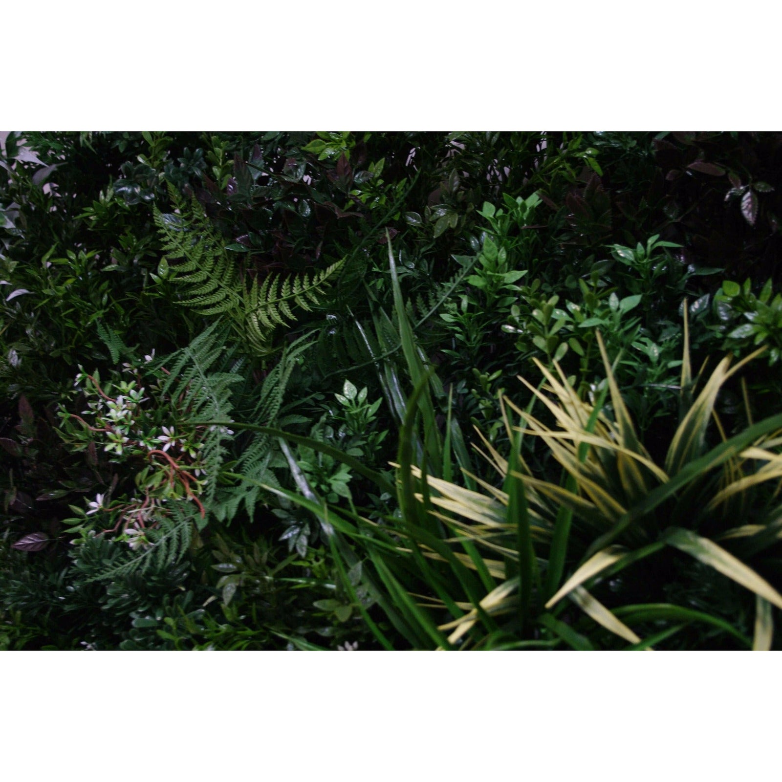 UV Stabilized Green Forest Select Range Vertical Garden 100cm X 100cm