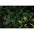 UV Stabilized Green Forest Select Range Vertical Garden 100cm X 100cm