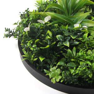 Flowering White Artificial Green Wall Disc UV Resistant 75cm (Black Frame)
