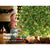 Jingle Jollys Christmas Tree 2.4M With 1488 LED Lights Warm White Green