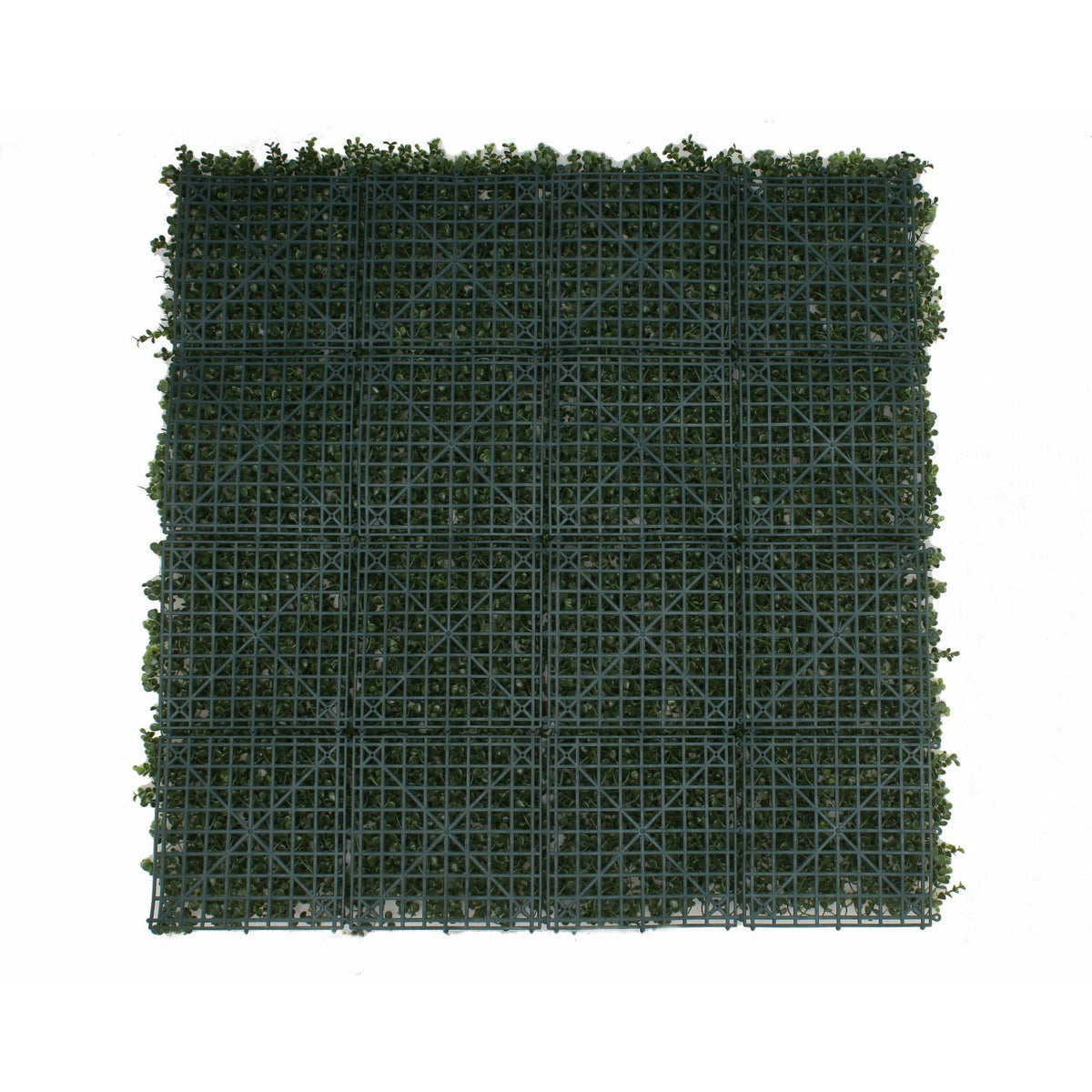 Premium Natural Buxus Hedge Panels UV Resistant 1m x 1m