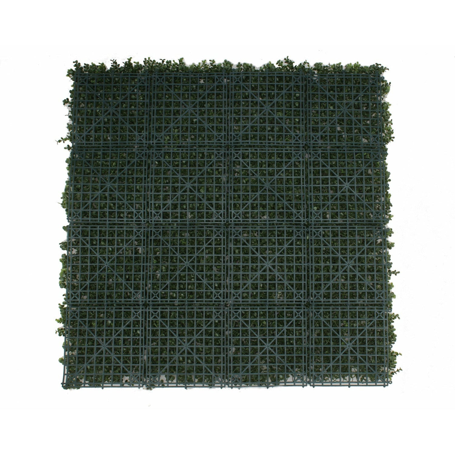 Premium Natural Buxus Hedge Panels UV Resistant 1m x 1m
