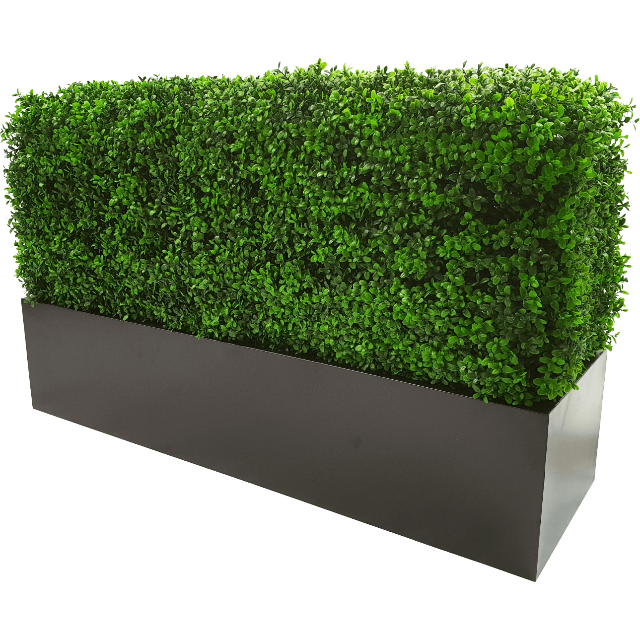 Deluxe Portable Buxus (Bright) UV Resistant 100cm Long x 50cm High x 25cm Wide