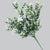 White Tipped Money Leaf Stem 32 cm