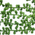 Hanging Succulent String of Pearl Beads 75cm