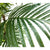 Artificial Hawaii Tropical Palm 170cm