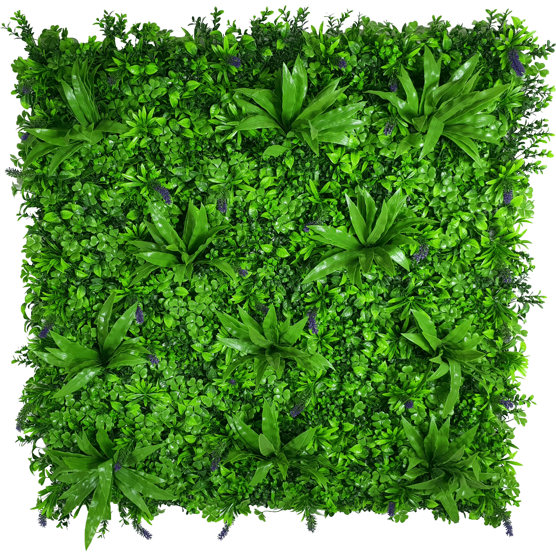 Lavandula Vertical Garden UV Stabilised