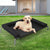 PaWz Elevated Pet Bed Dog Puppy Cat Trampoline Hammock Raised Heavy Duty Black L