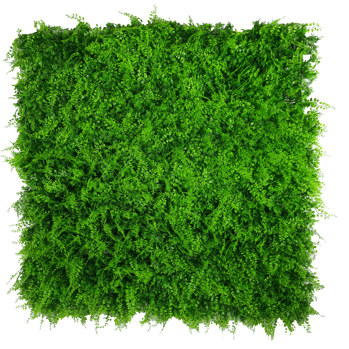 Mediterranean Fern Vertical Garden UV Stabilised 1m X 1m