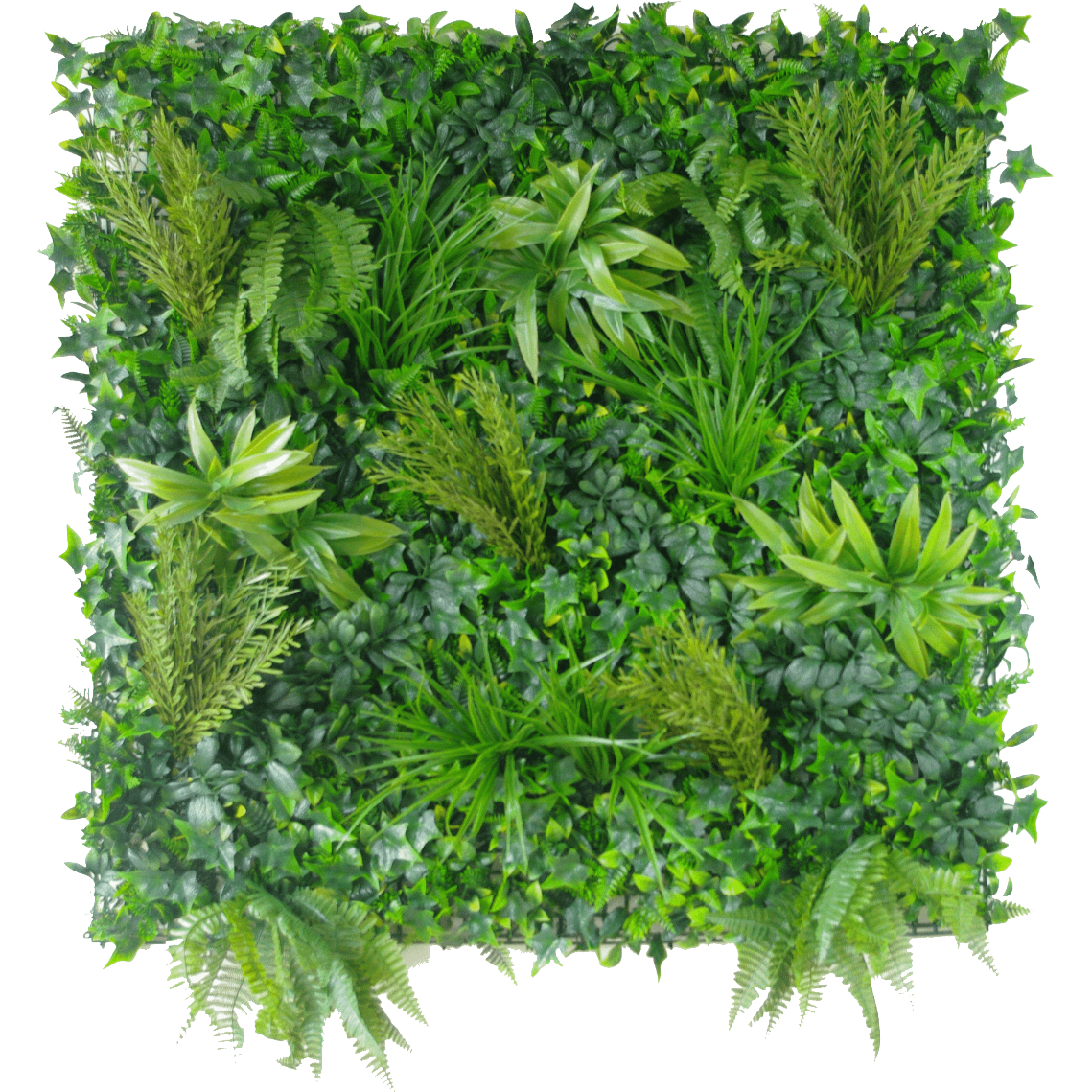 Native Tea Tree Vertical Garden / Green Wall UV Resistant 100cm x 100cm